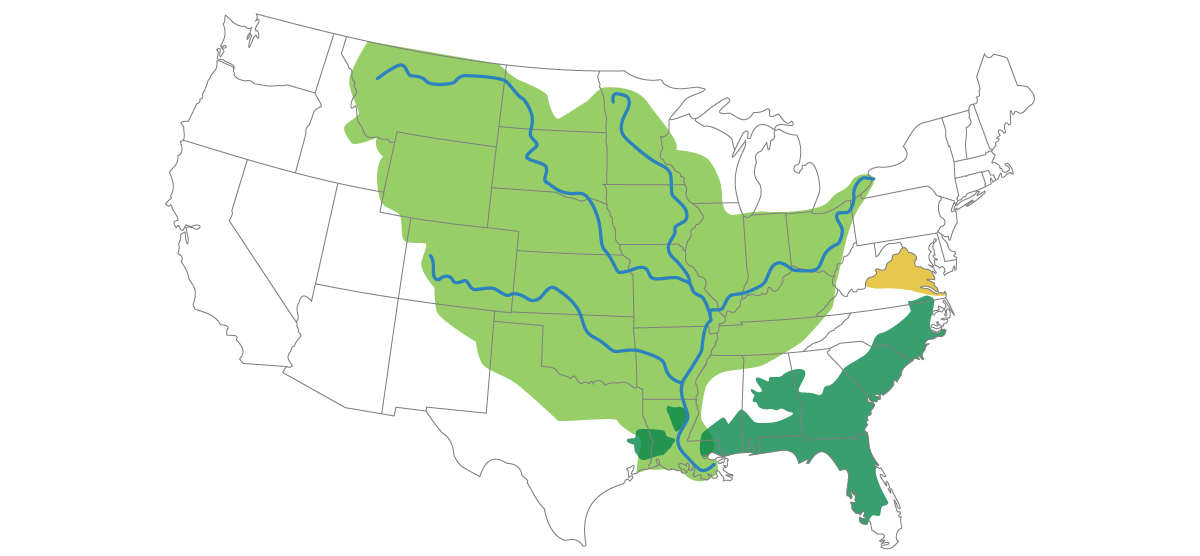 US Map_all regions